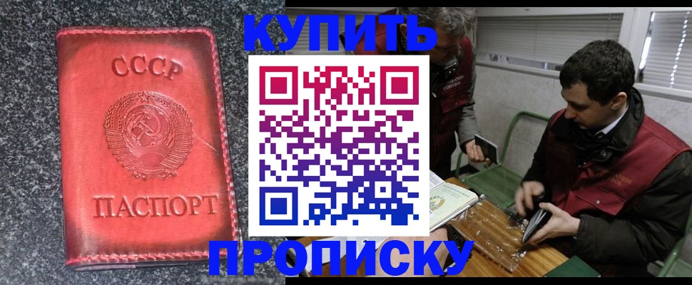 прописка для работы в Змеиногорске